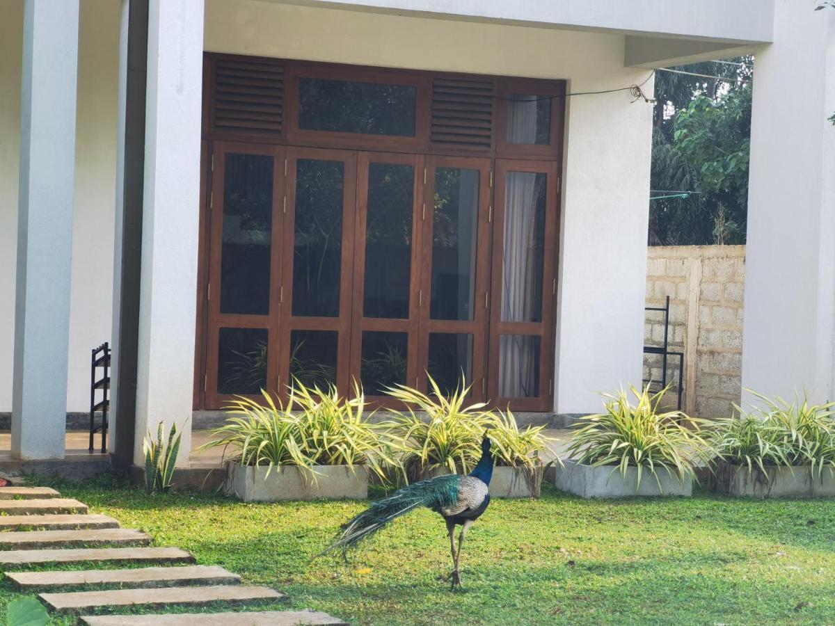 Ruwinsons Canal Garden Anuradhapura Esterno foto