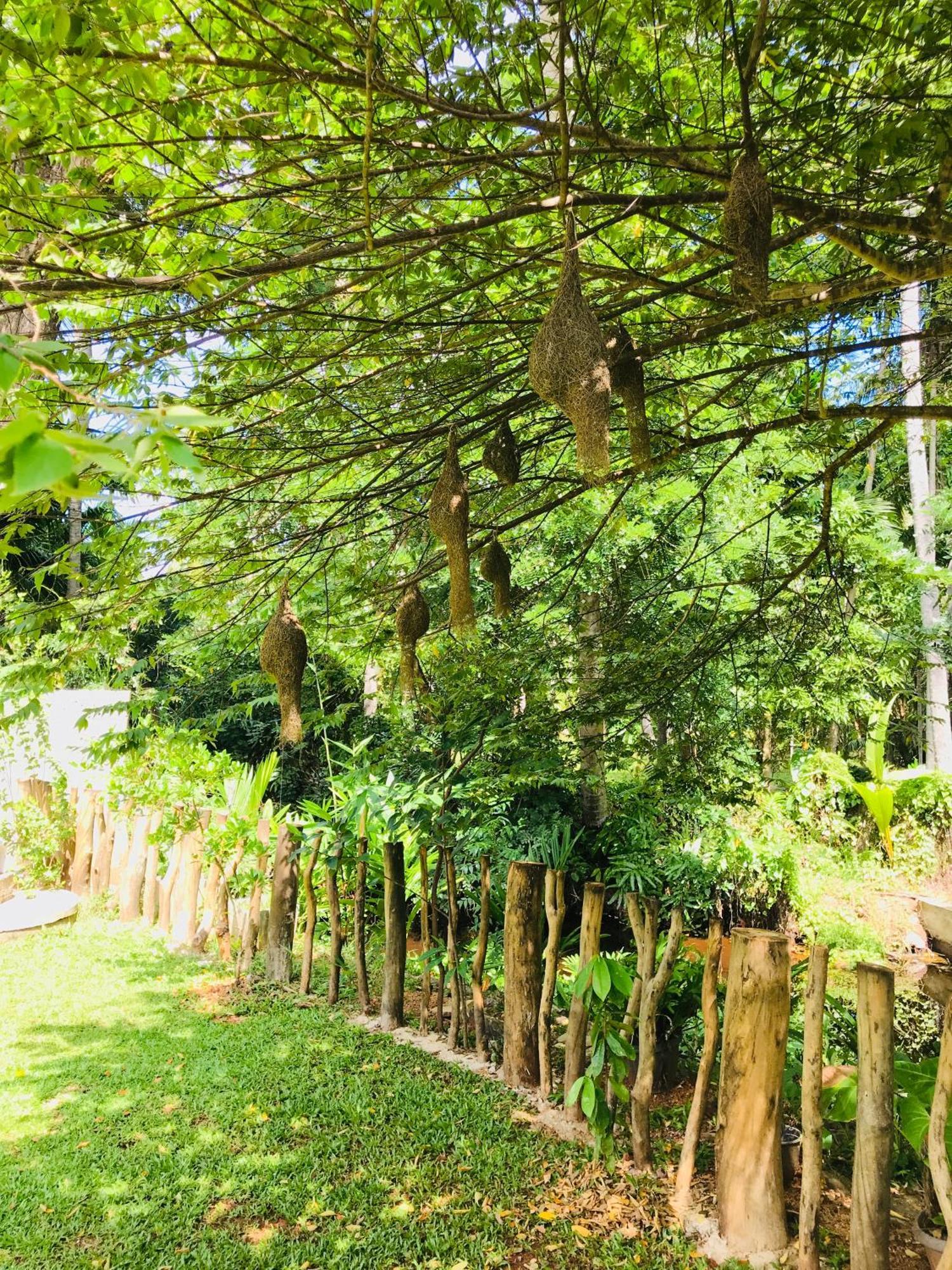 Ruwinsons Canal Garden Anuradhapura Esterno foto